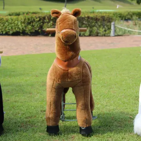 ポニーサイクルの写真